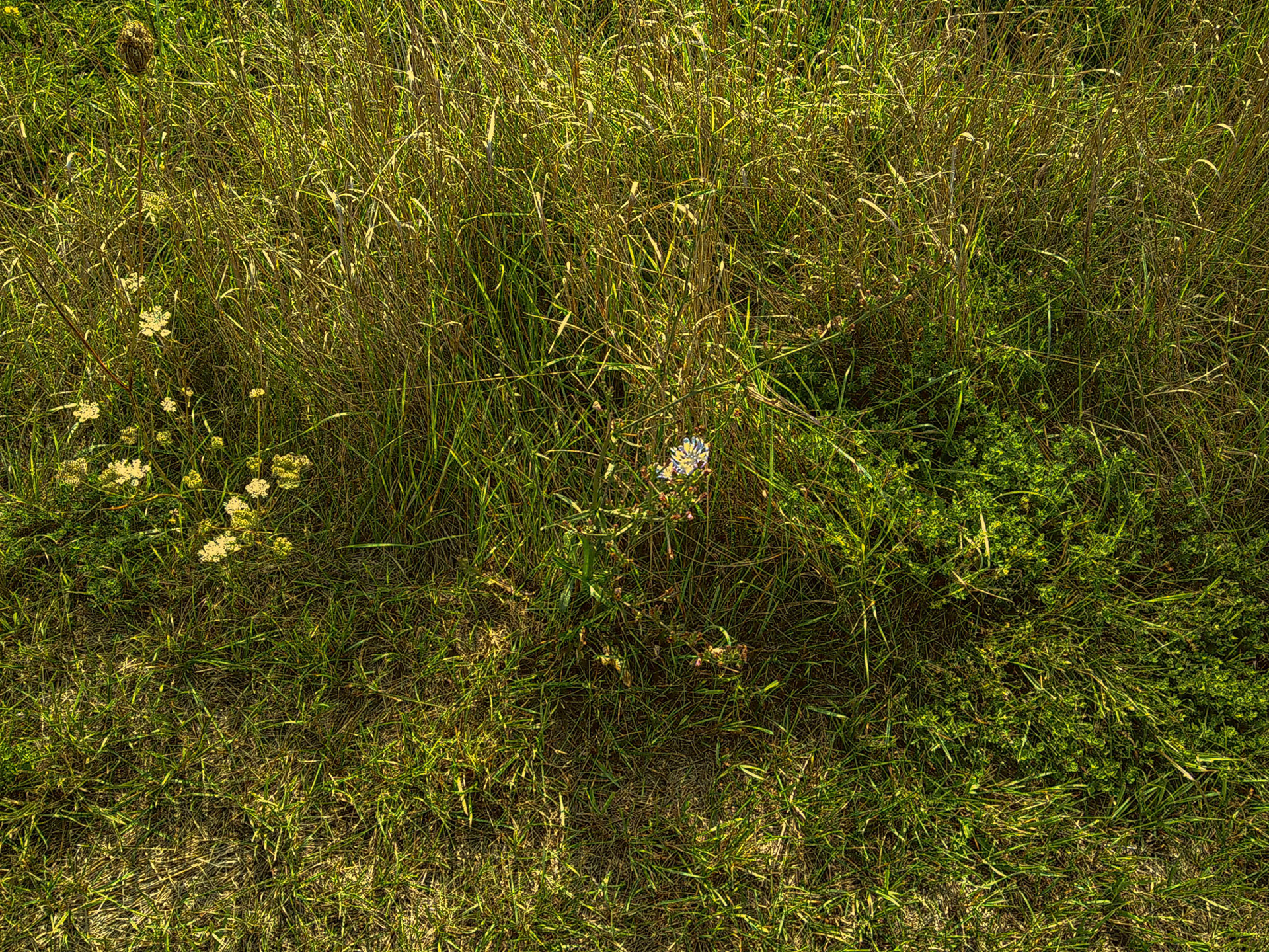 (Photo by Erik Cove)