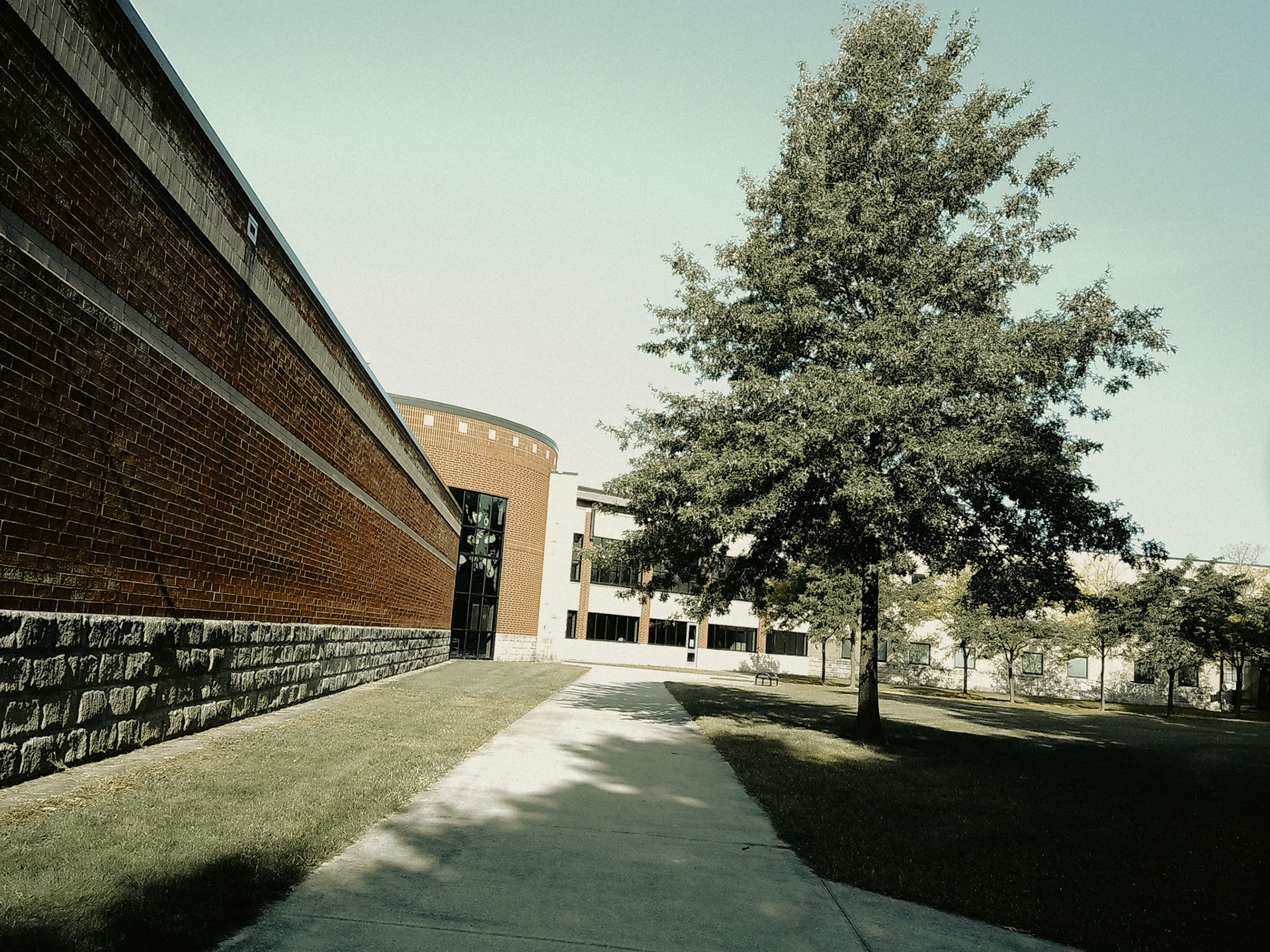 (Photo by Mohamed Gamareldawla)