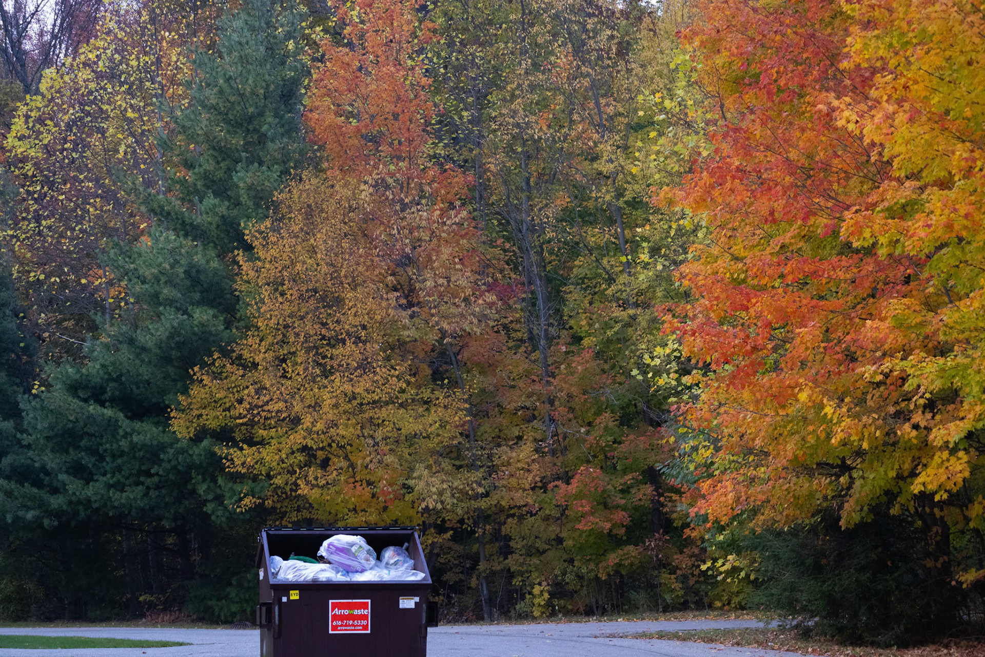 (Photo by Niklas VanderArk)