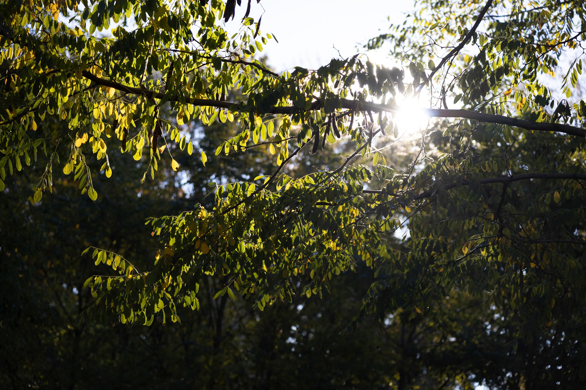 (Photo by Mohamed Gamareldawla)