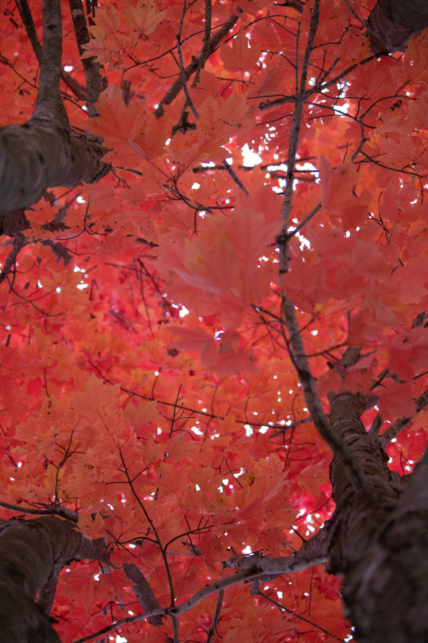 (Photo by Jack LeBoeuf)