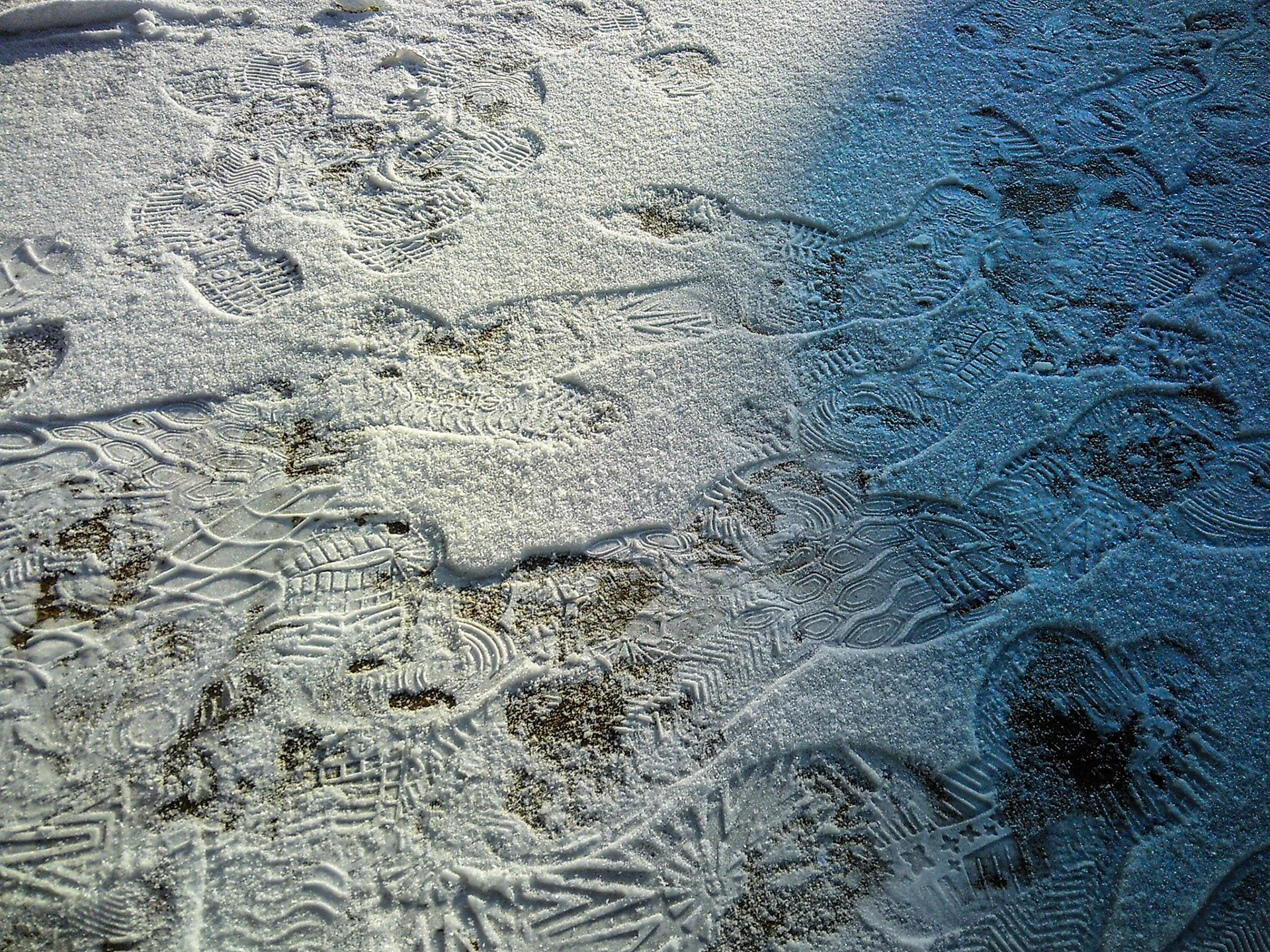 (Photo by Ricky Huyser)