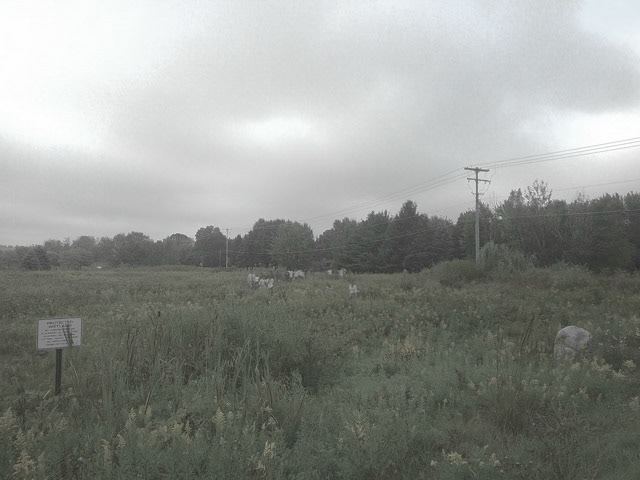 (Photo by Ricky Huyser)