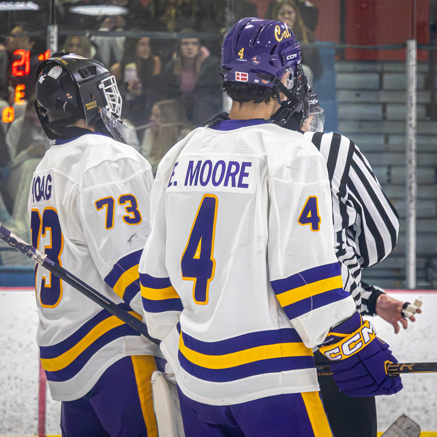 After a blocked goal by Caledonia's goalie Sam Hoag, Evan Moore waits for the puck to be dropped in a face off to get the game going again. (Photo by Ella-Grace Wickens)
