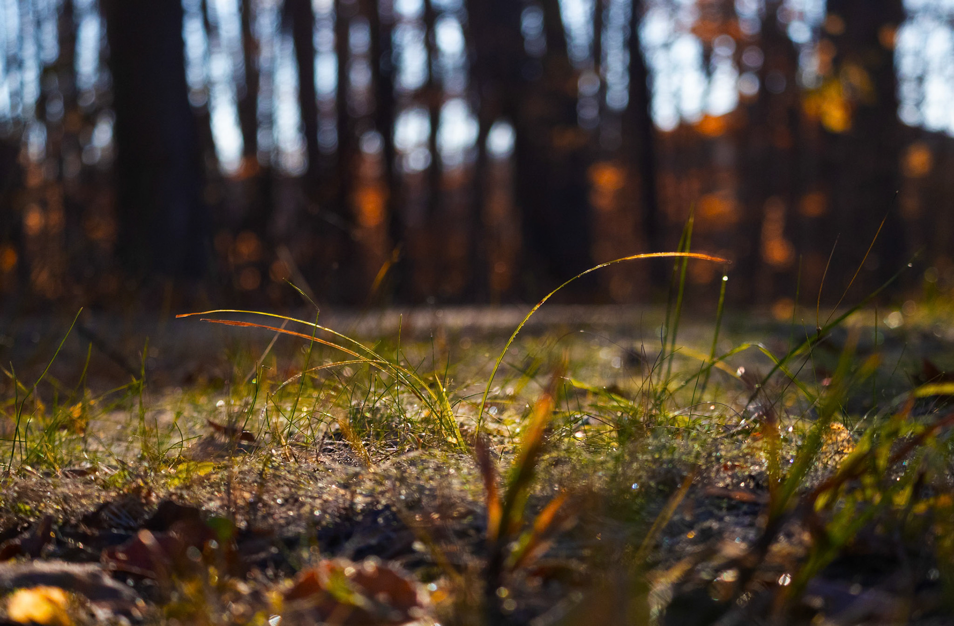 (Photo by Ayla Gerken)