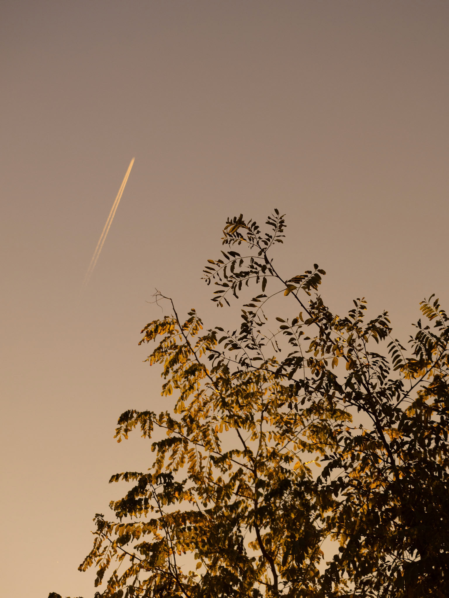 (Photo by Gavin Vanderhoff)