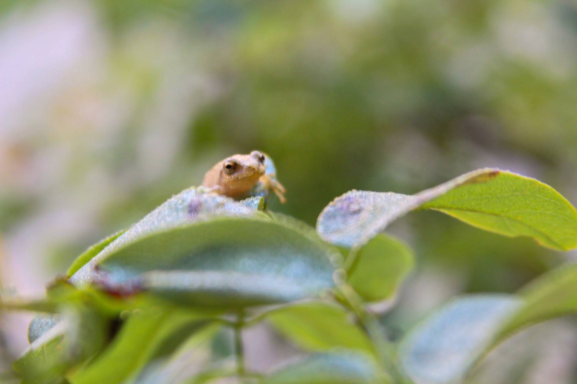 (Photo by Jack LeBoeuf)