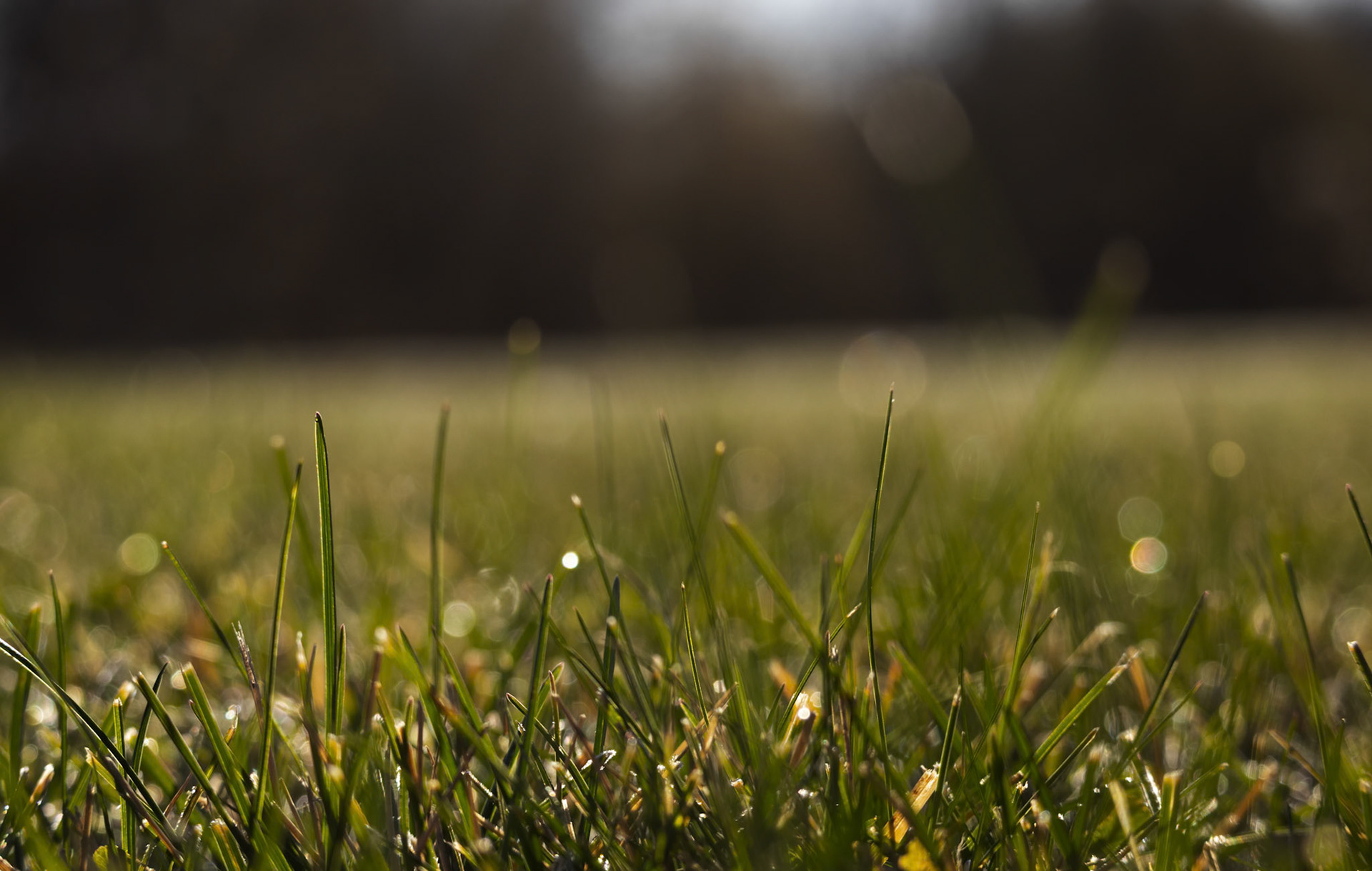 (Photo by Ayla Gerken)