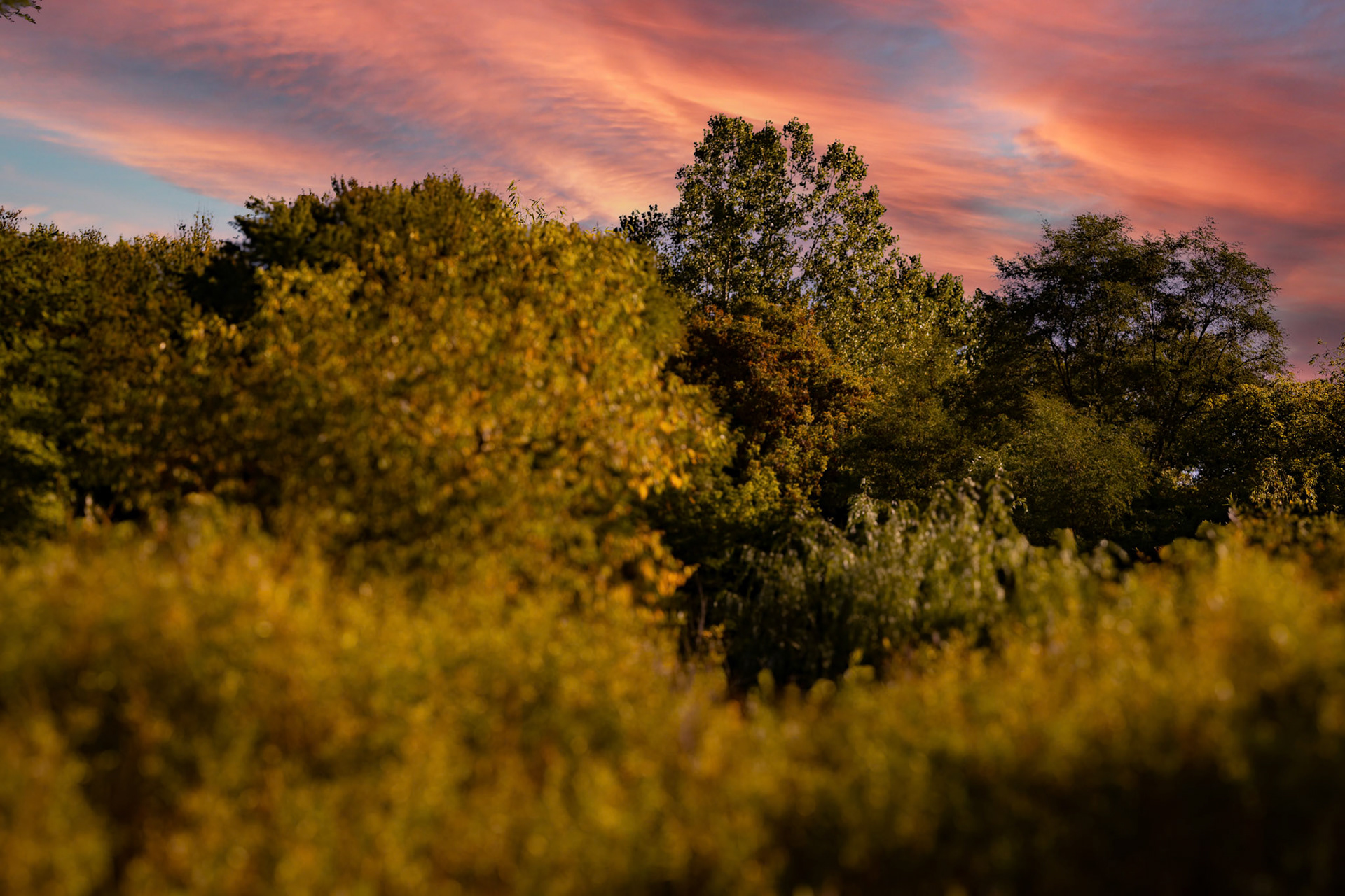 (Photo by Gavin Vanderhoff)