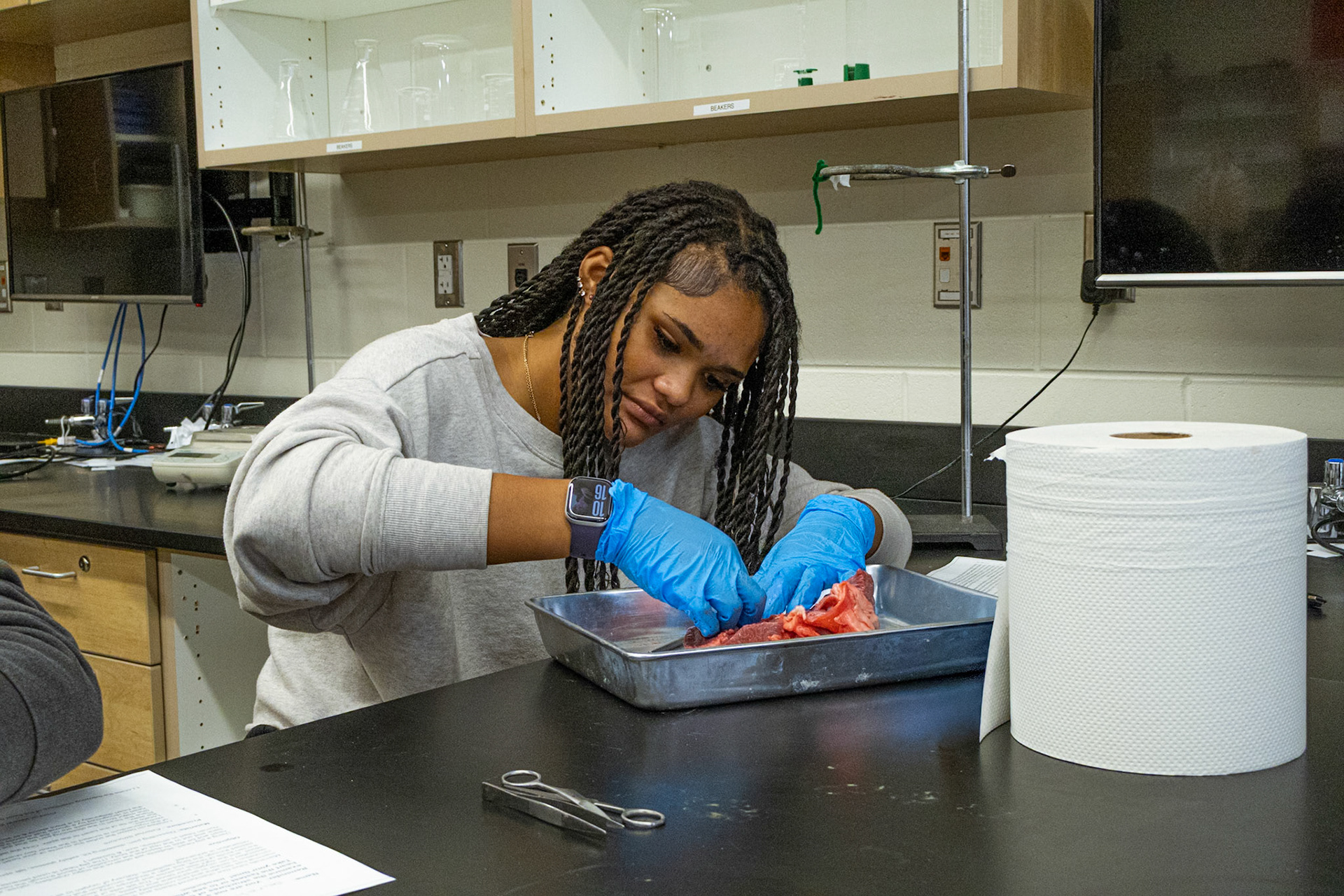 Sophomore Lia-Rose Perry carefully opens a pig heart while learning about its anatomy. (Photo by Avarey Lippert)