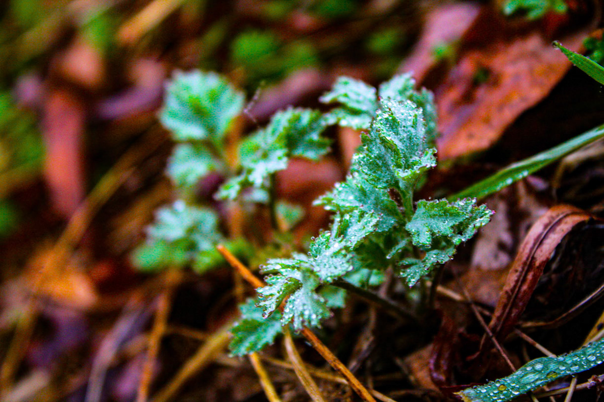 (Photo by Easton Miller)