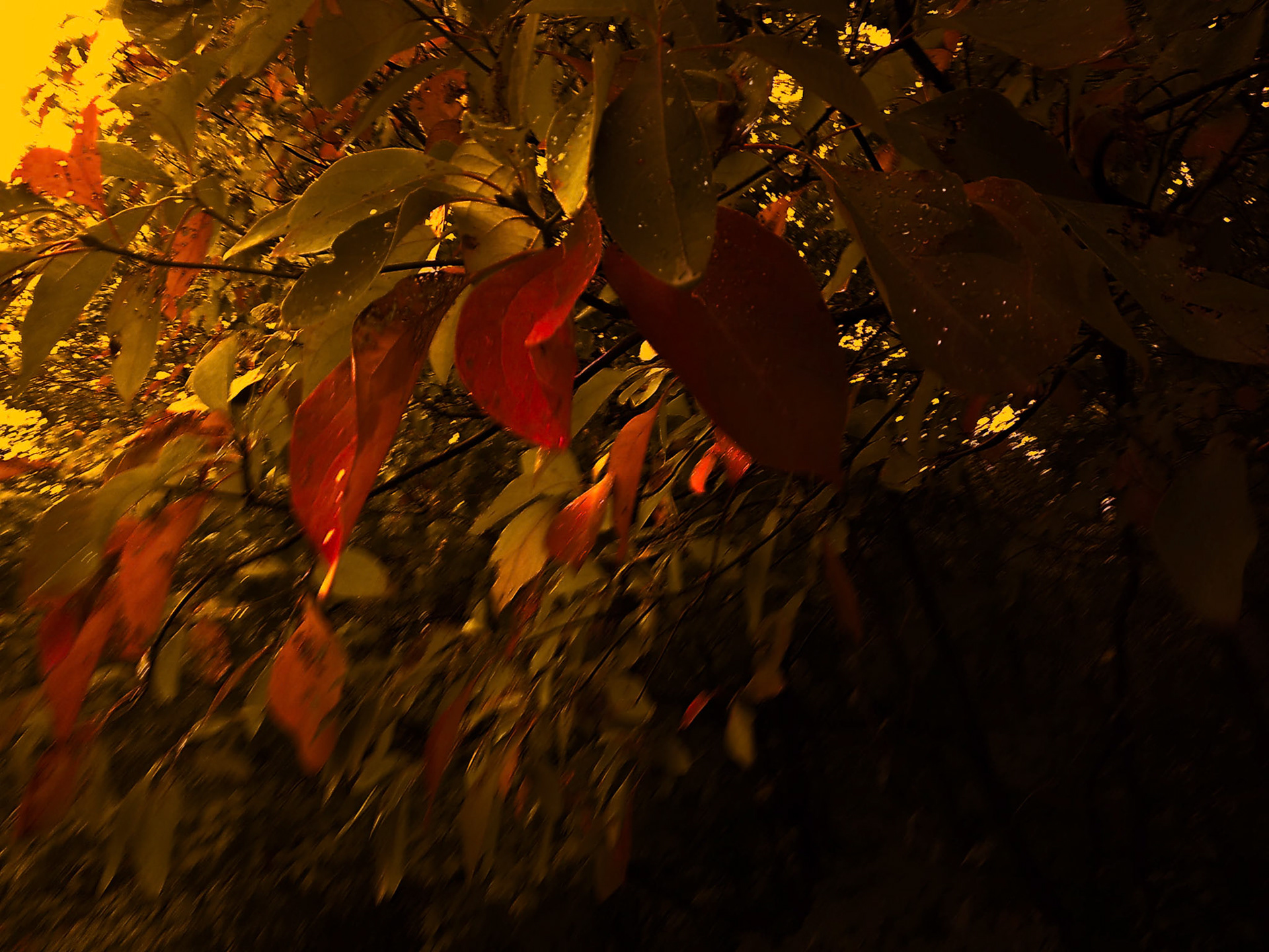 (Photo by Erik Cove)