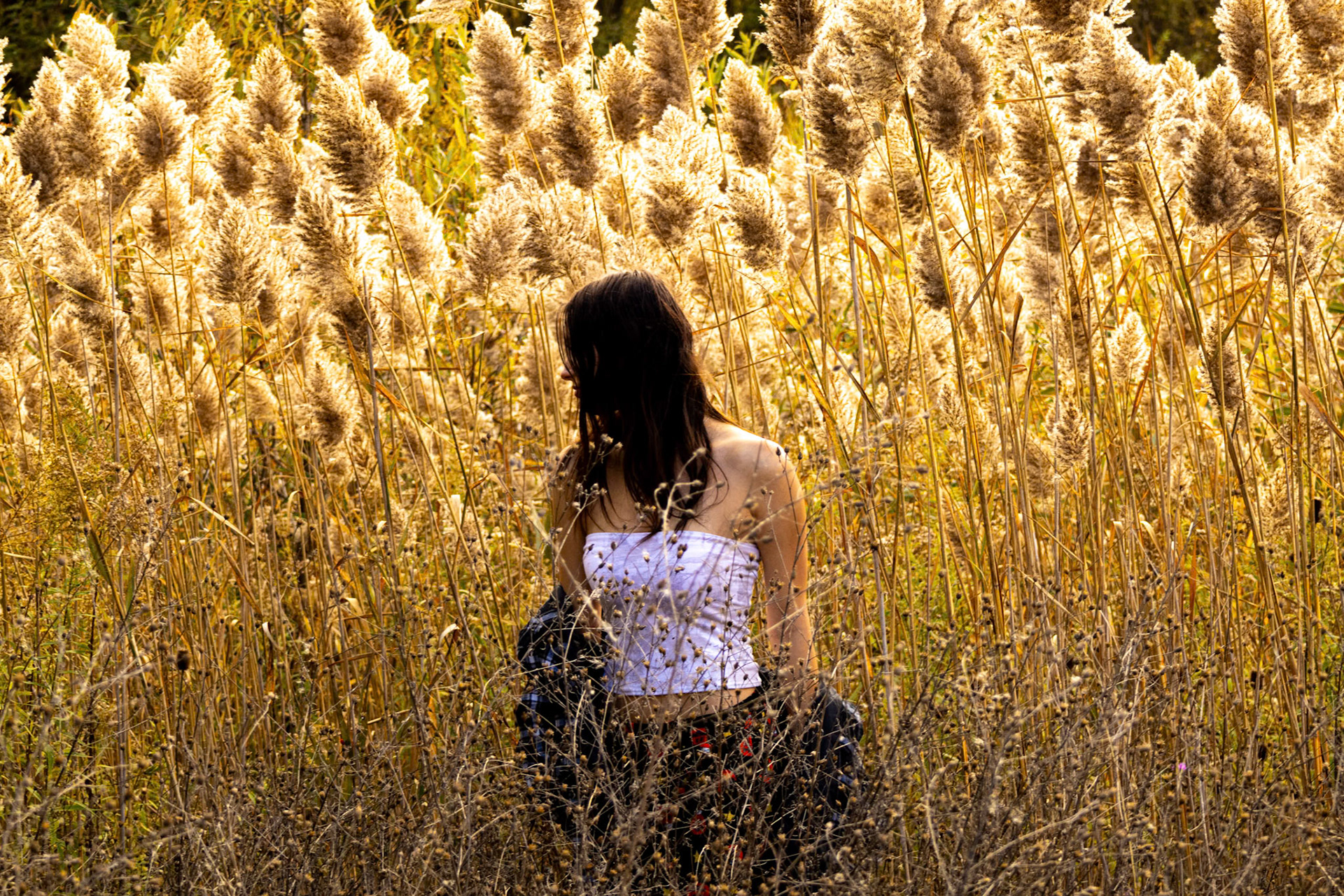 Photography (Felicity Fanco)