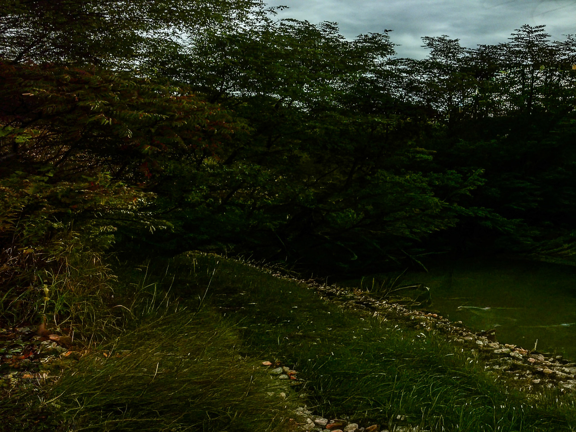 (Photo by Ricky Huyser)