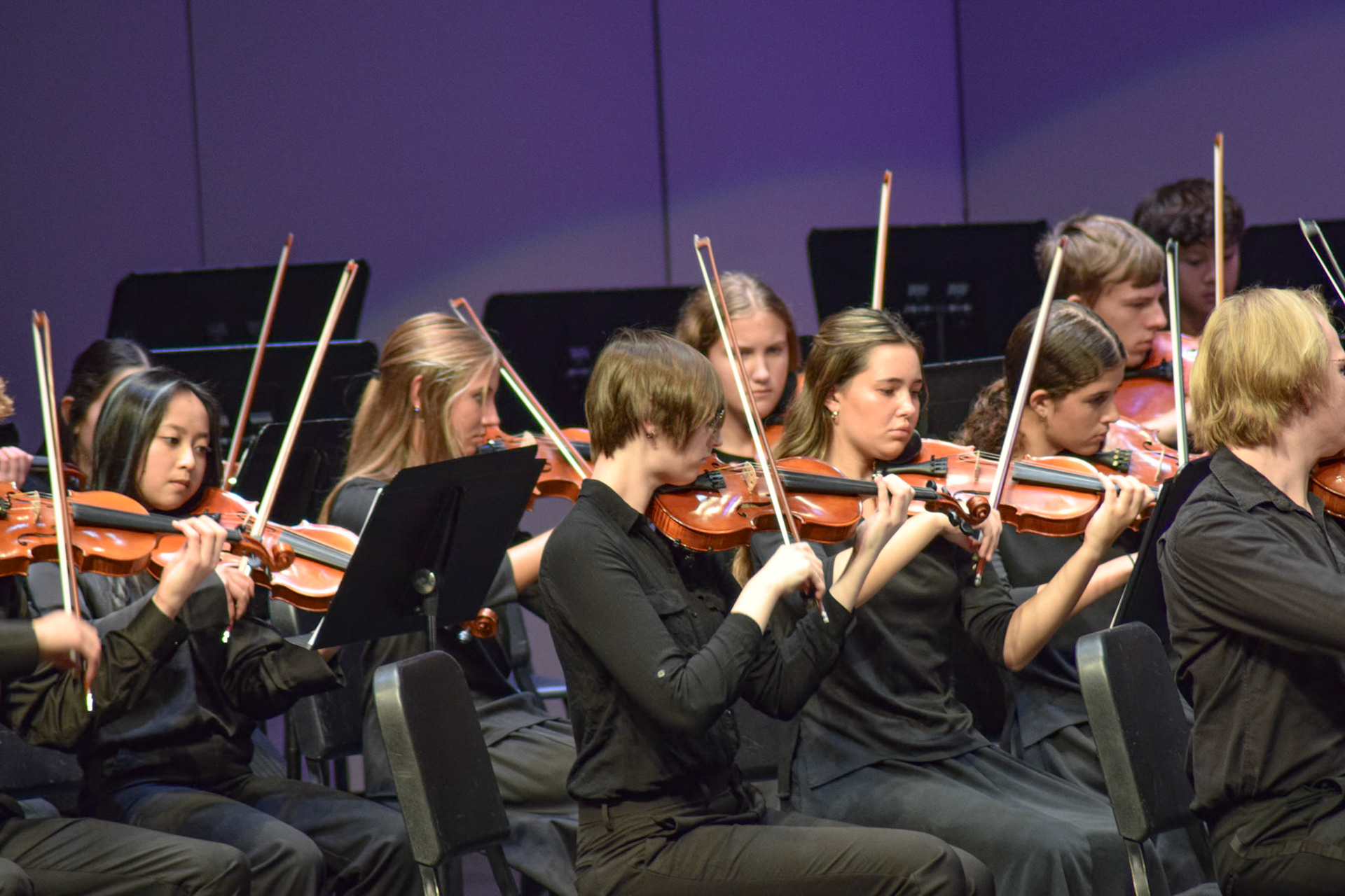 The violin section plays their part in the orchestra concert. (Photo by Ollie Fox)