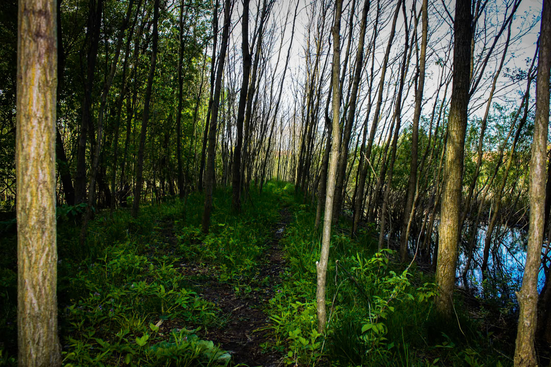 (Photo by Michael Paarlberg)