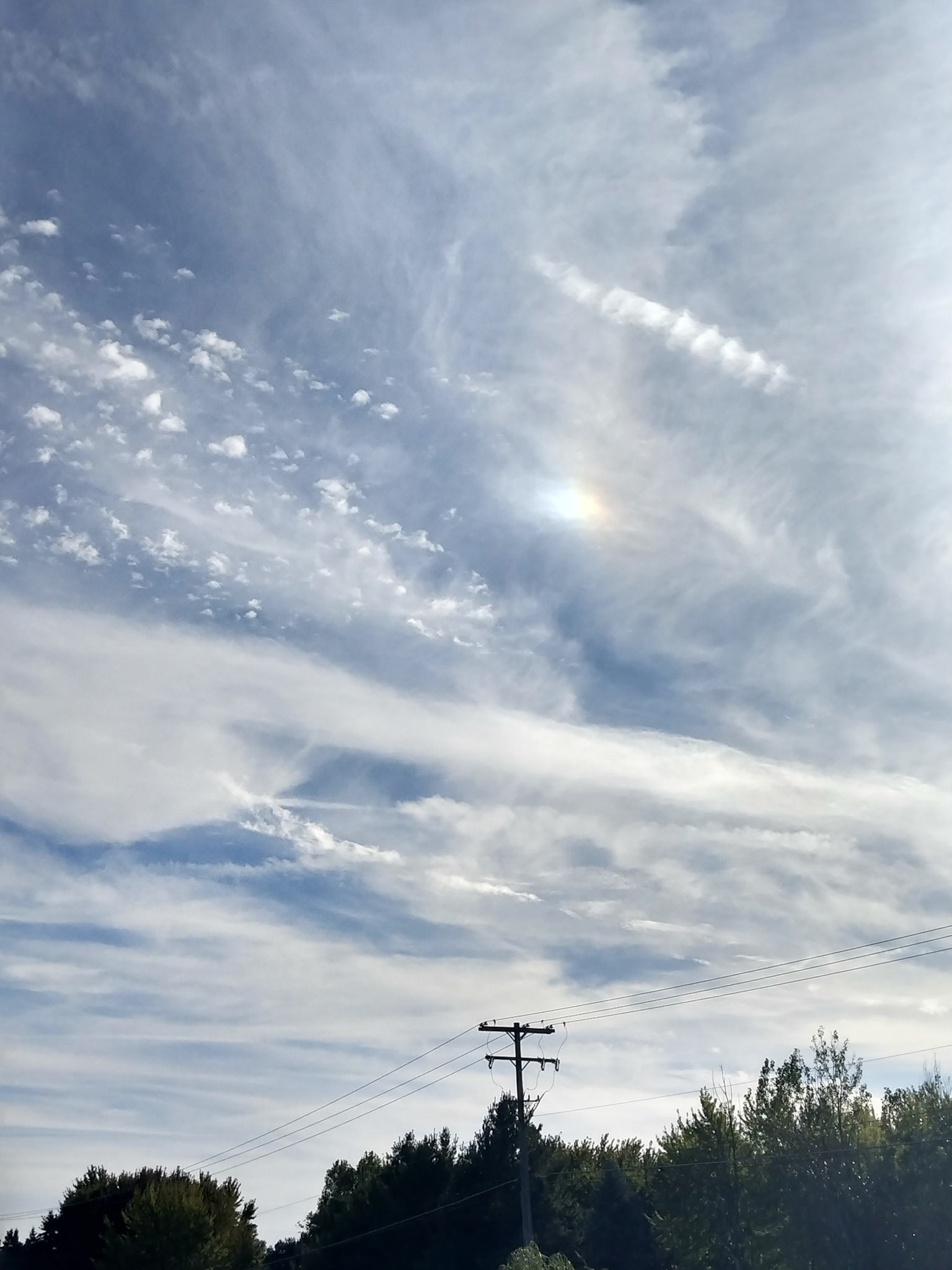 (Photo by Felicity Fanco)