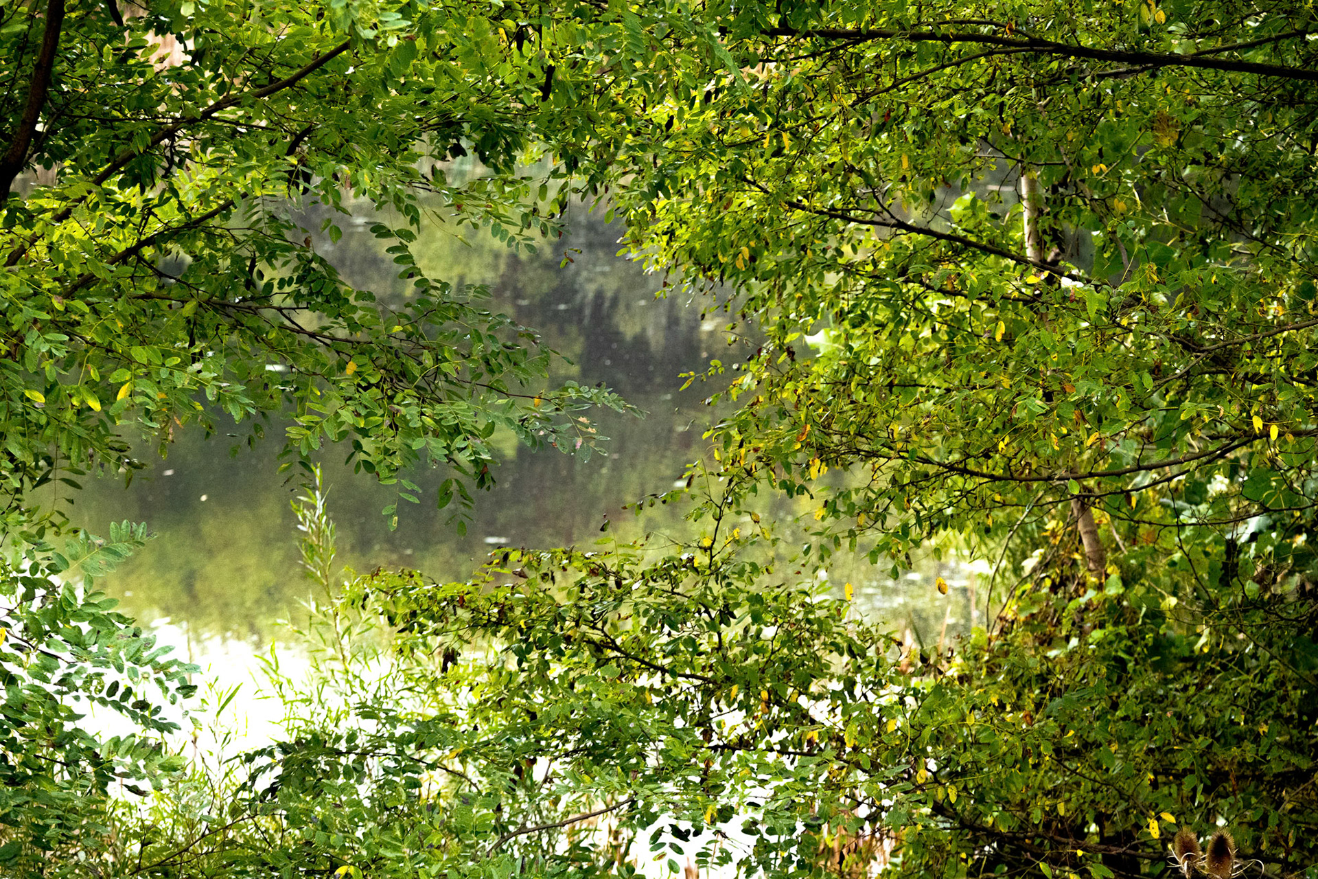 (Photo by Owen Rounds)