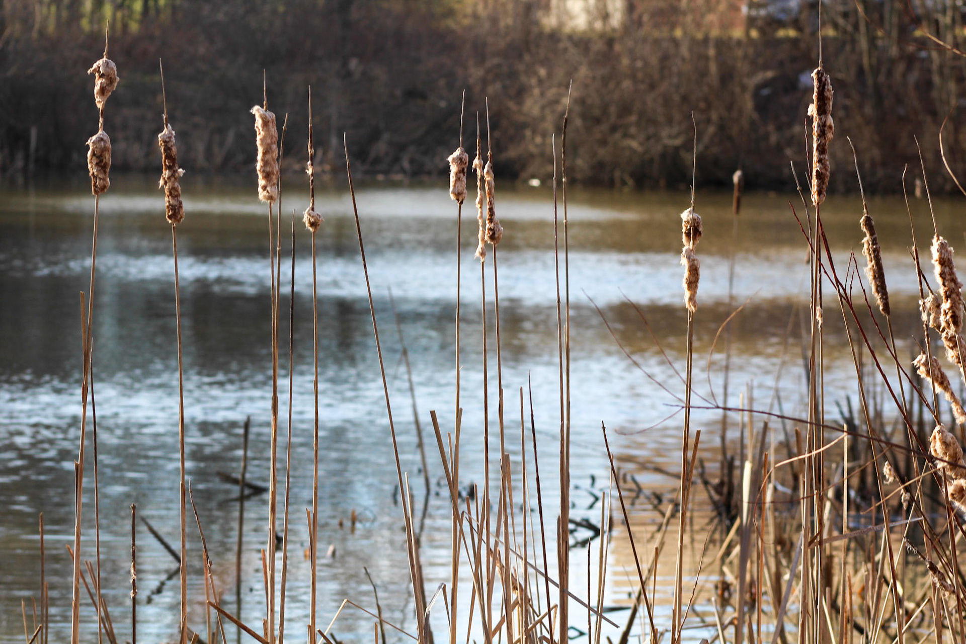 (Photo by Tyler Manninga)