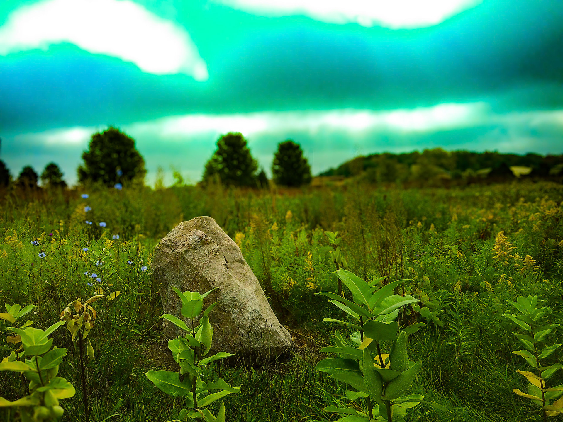 (Photo by Gavin Vanderhoff)