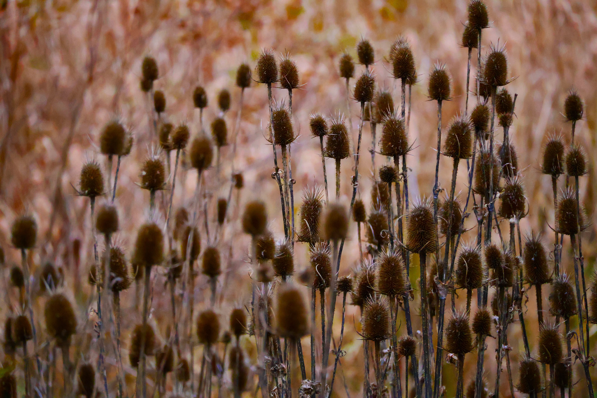 (Photo by Ayla Gerken)