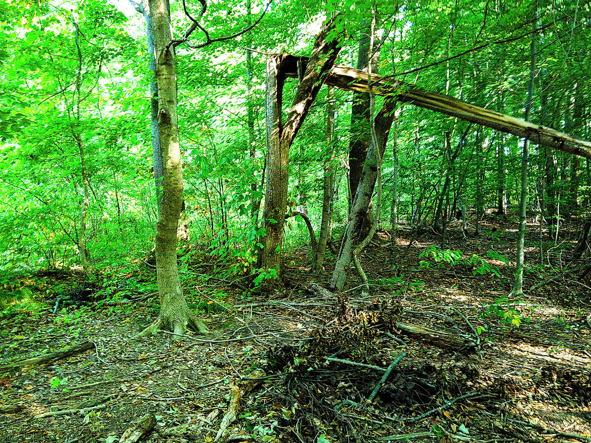 (Photo by Jagger Burnes)