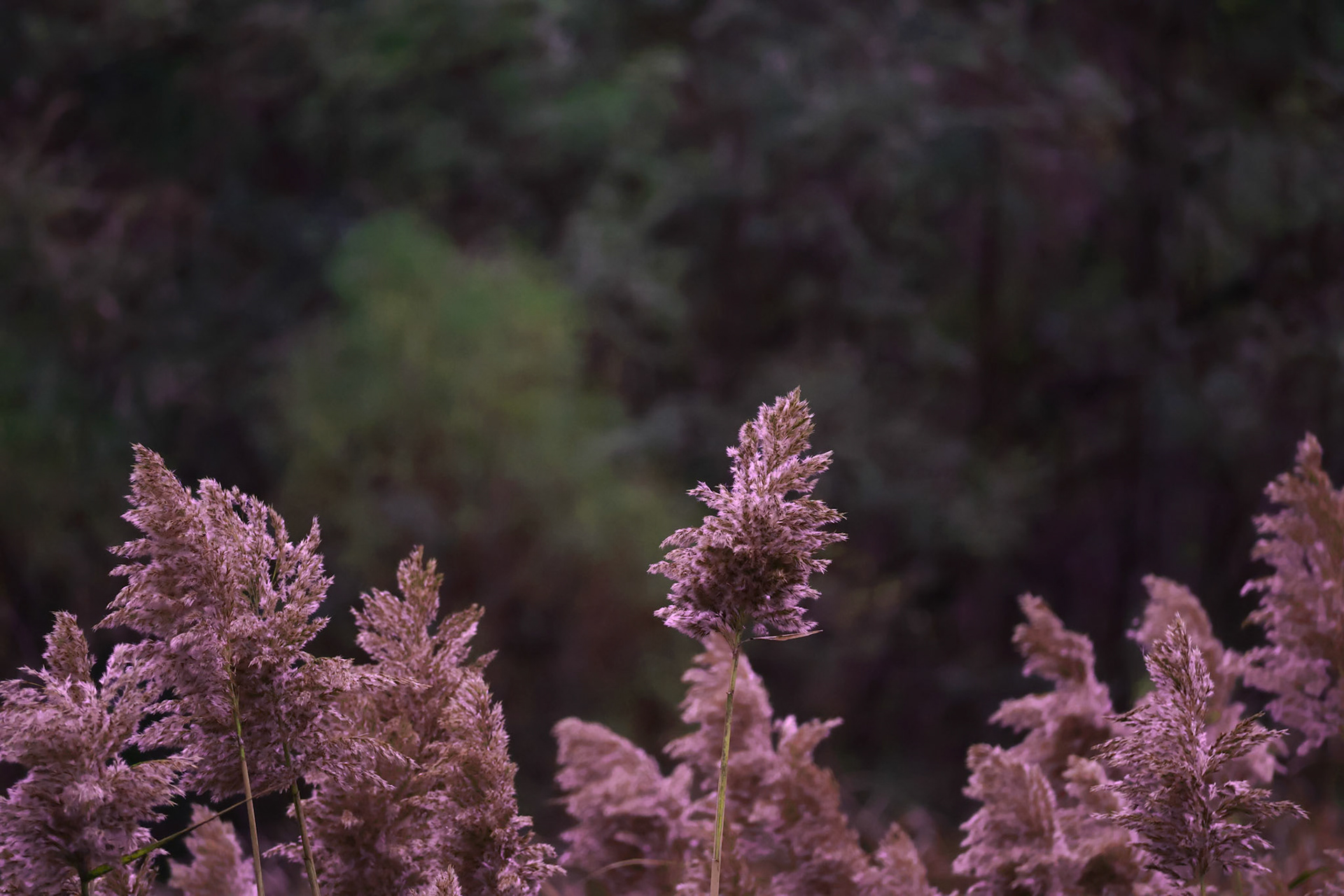 (Photo by Ayla Gerken)