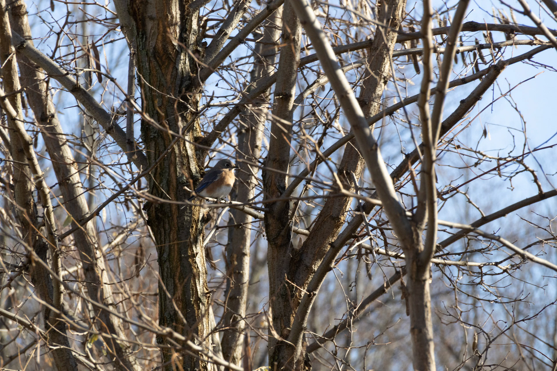 (Photo by Elsha Bytwork)