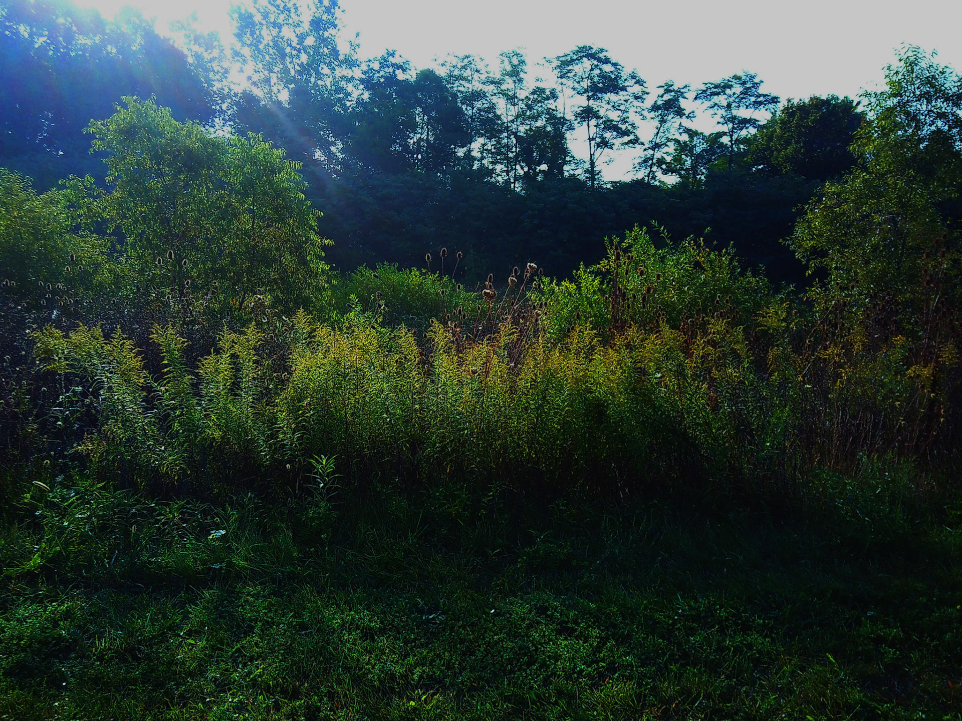 (Photo by Sonja Lazarevic)