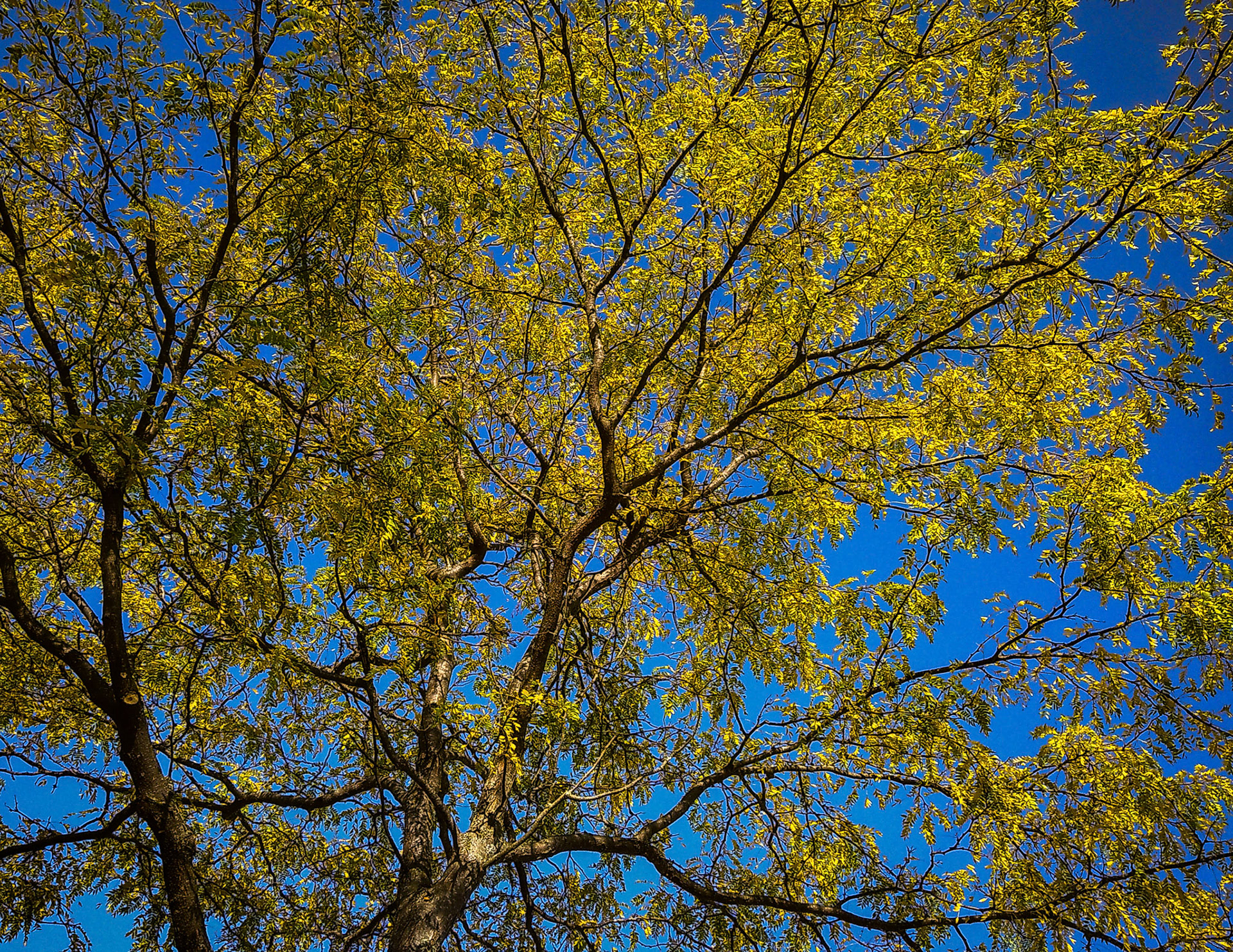 (Photo by Lena Gesing)