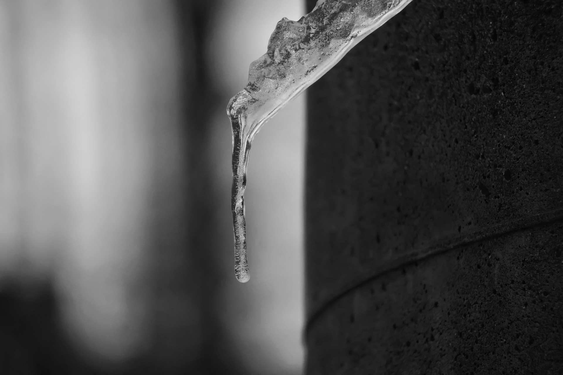 (Photo by Ayla Gerken)