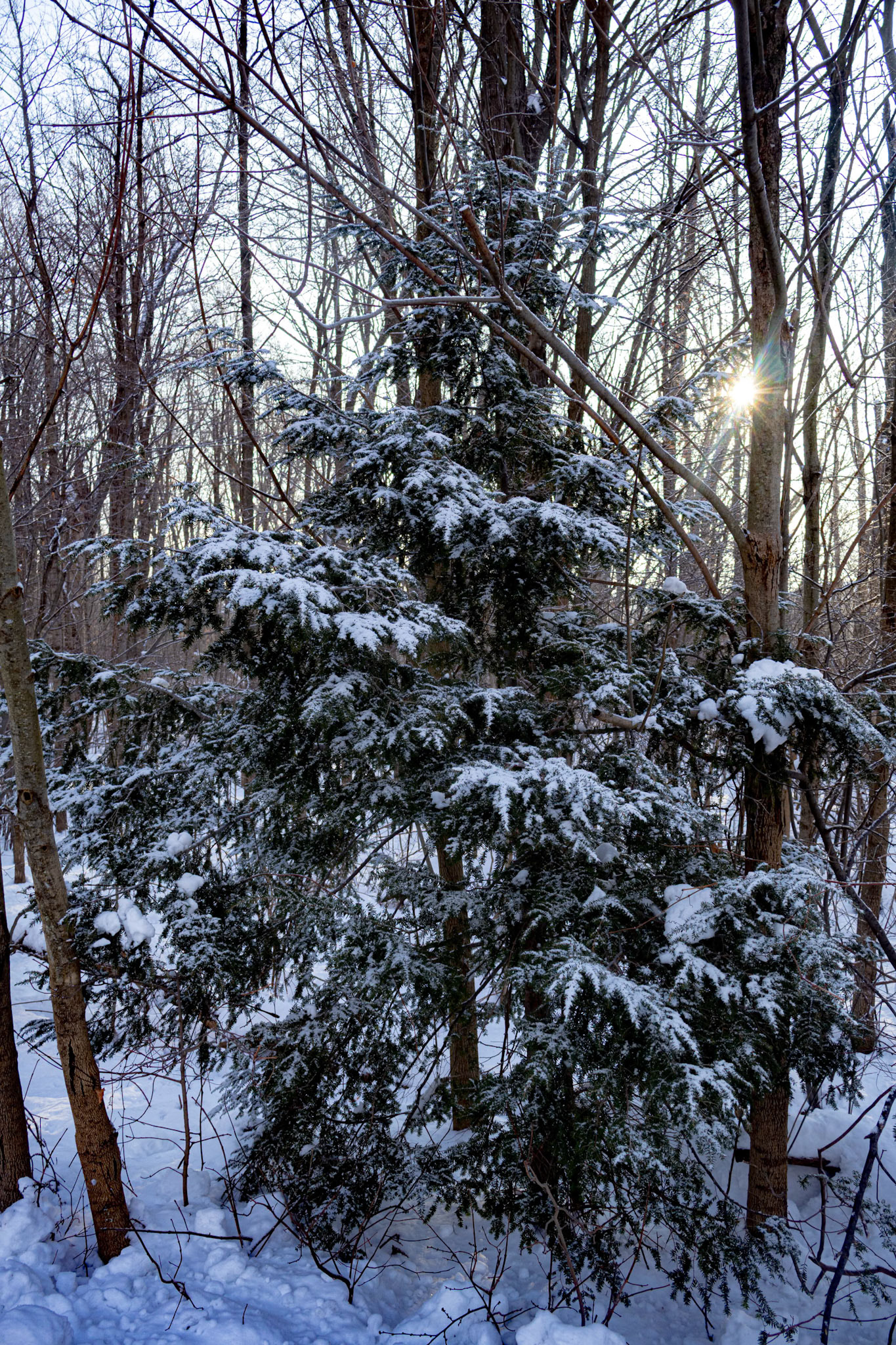 (Photo by Leila DeOliveira-Terzic)