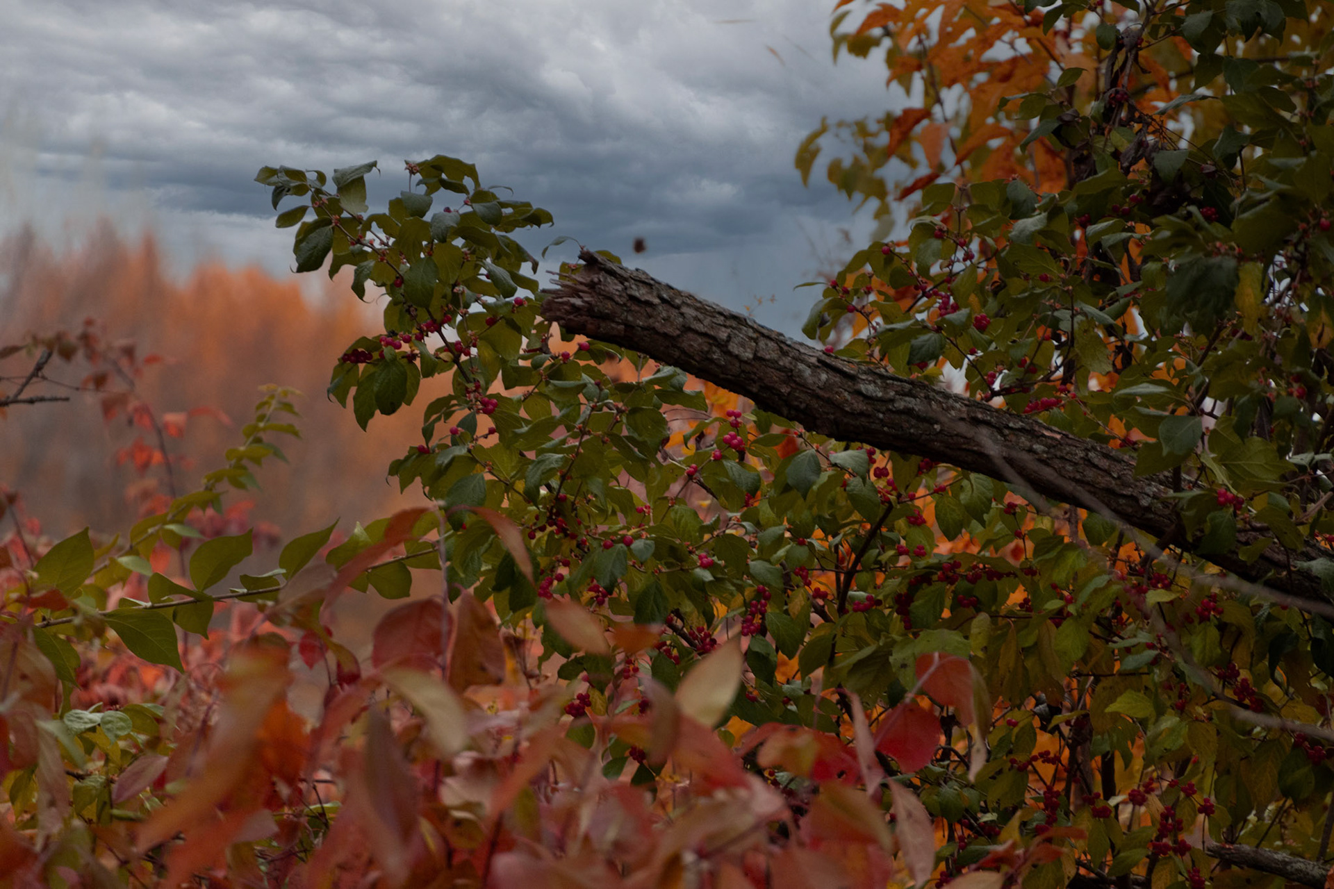 (Photo by Ayla Gerken)