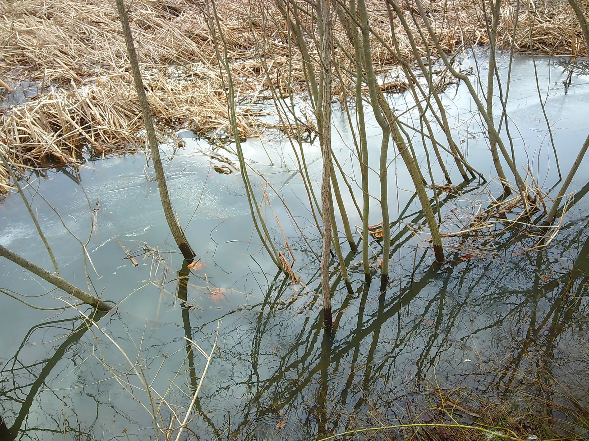 (Photo by Quentin Raffler)