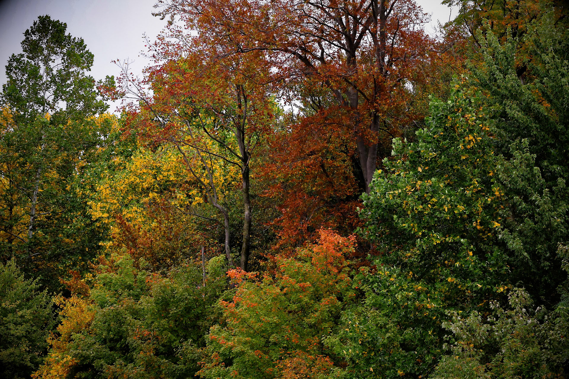 (Photo by Maddi Triebel)