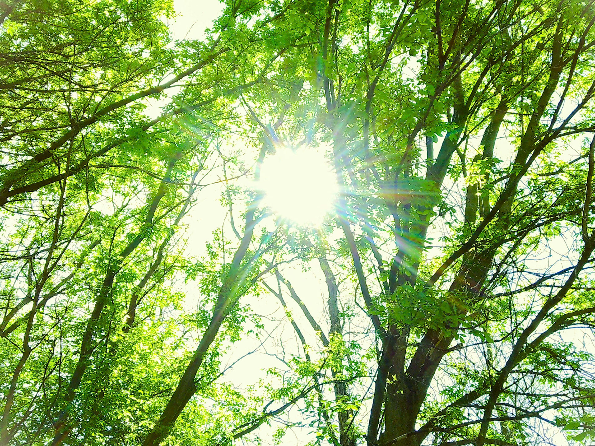 (Photo by Jack LeBoeuf)