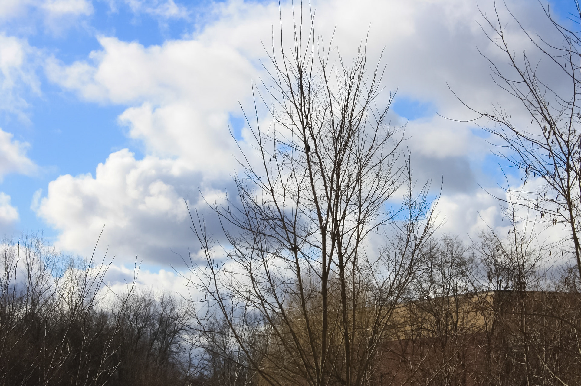 (Photo by Owen Bennett)