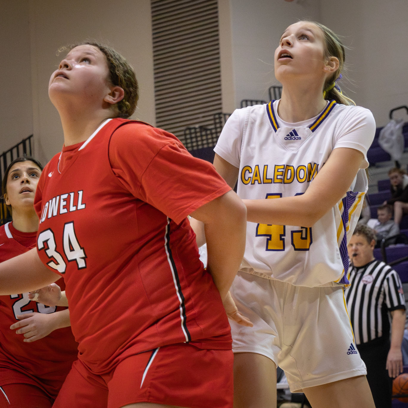 Aubrey Standley battles for position under the basket, ready for the reabound. (Photo by Landry Mueller)