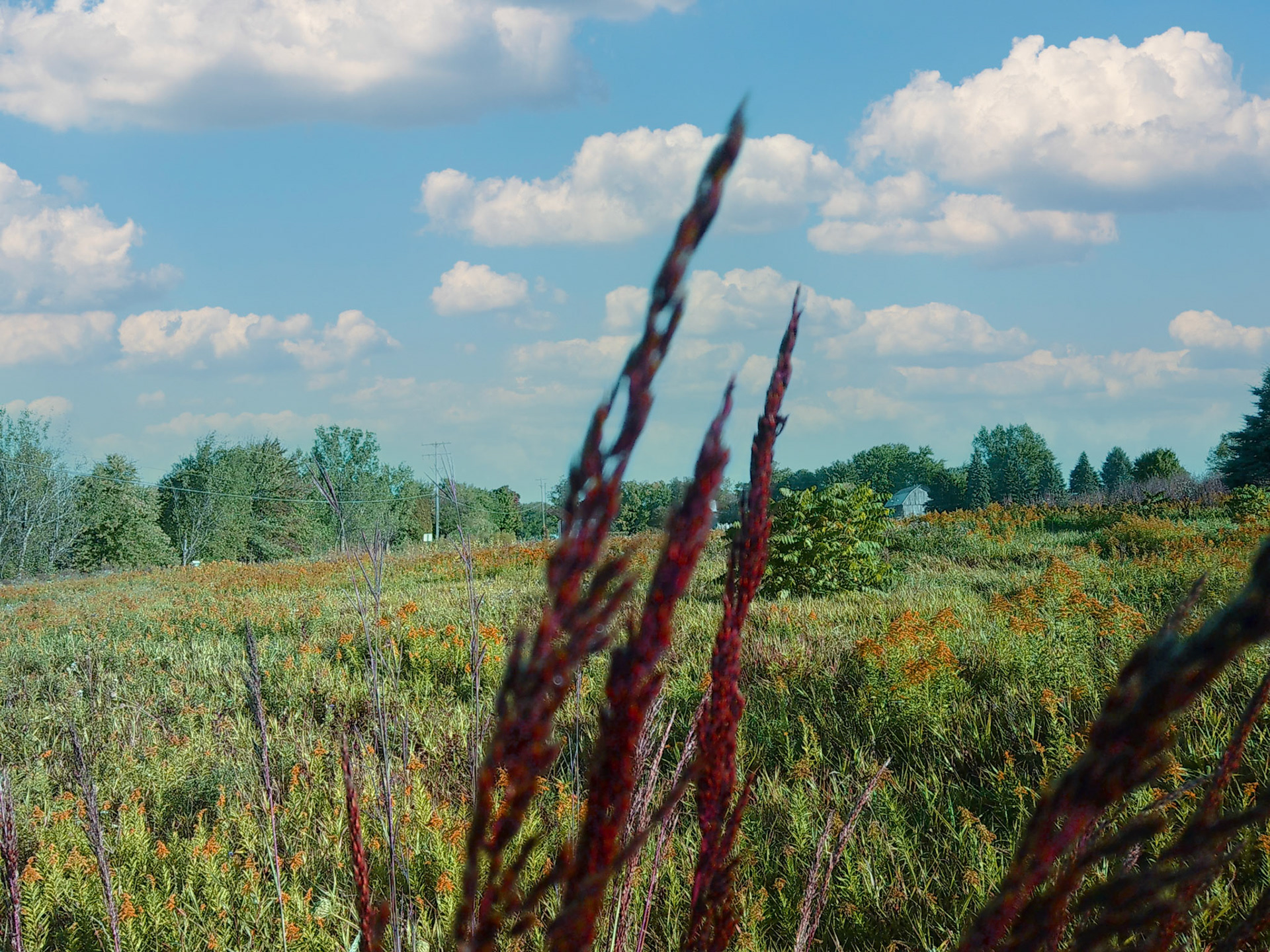 (Photo by Ayla Gerken)