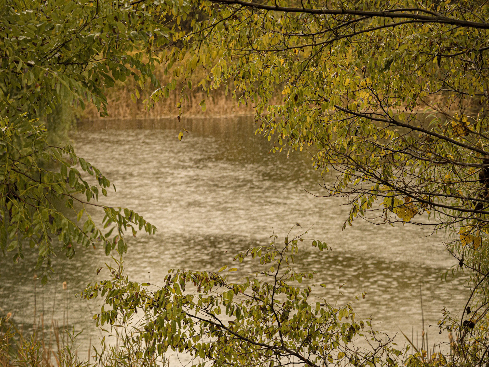 (Photo by Joe Visel)