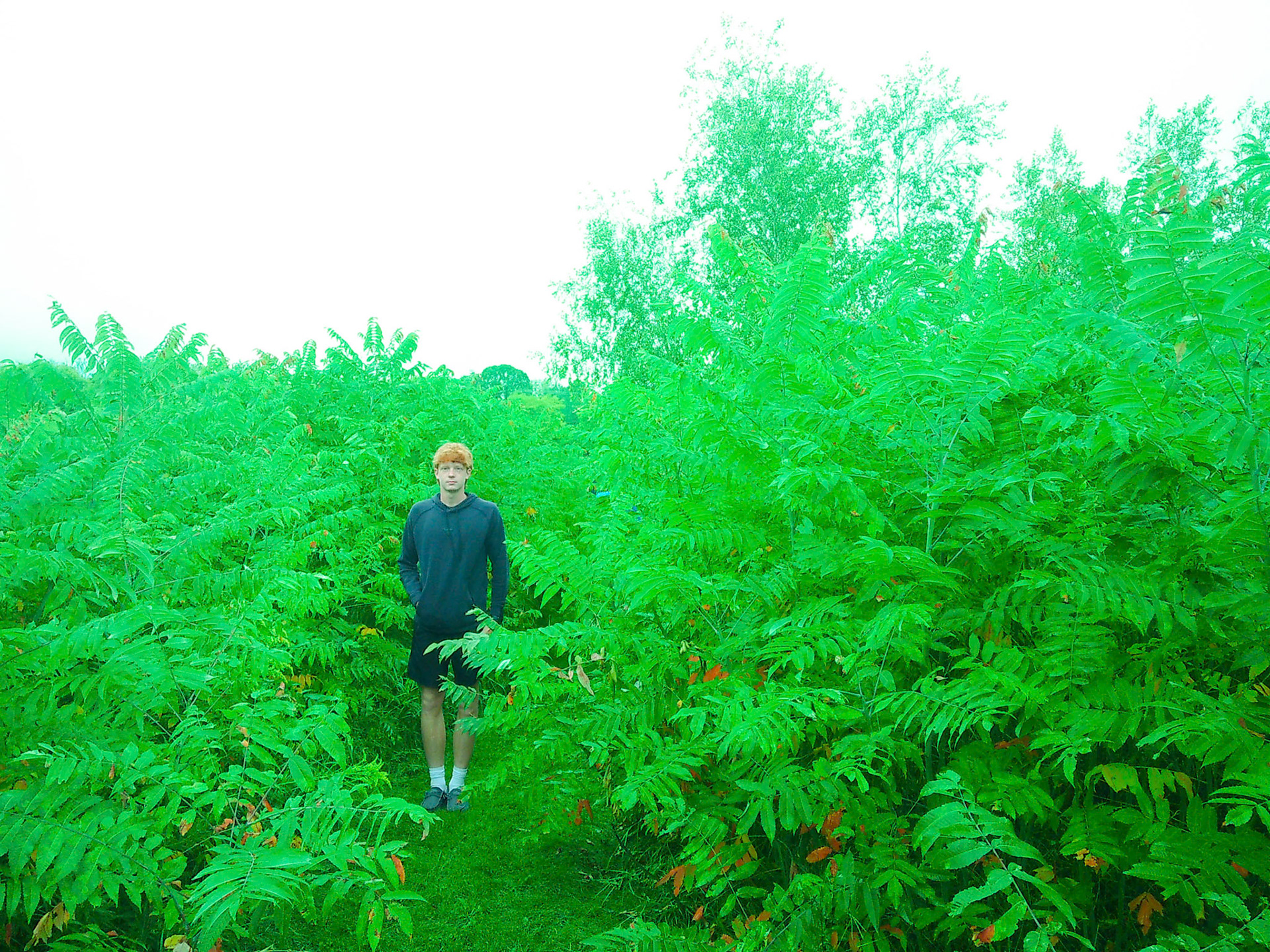 (Photo by Luke Witvoet)