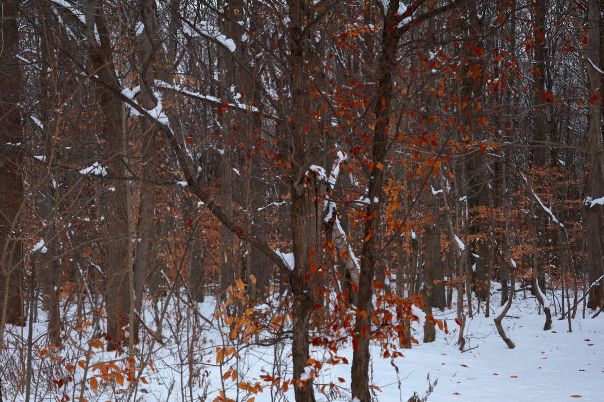 (Photo by Ayla Gerken)