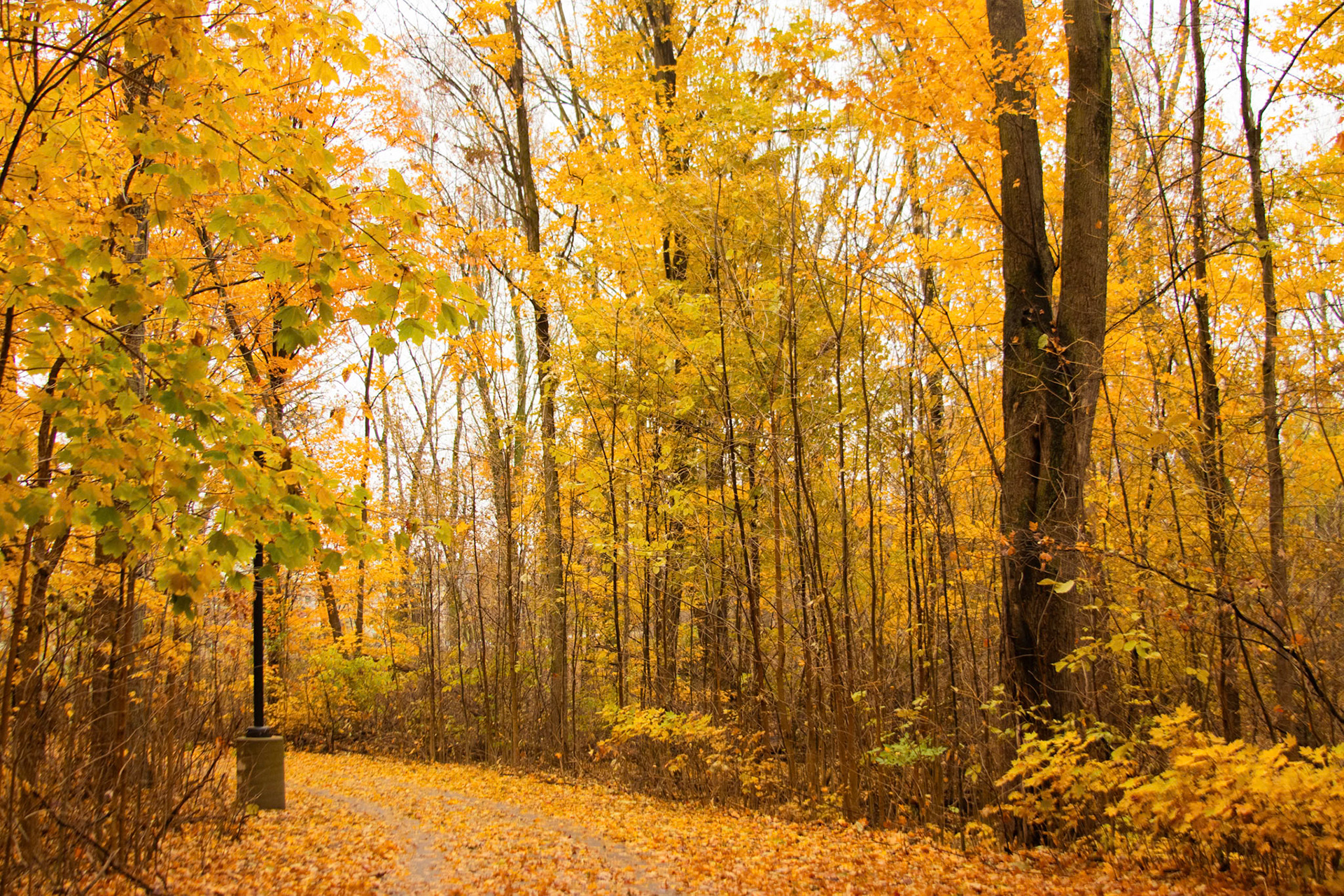 (Photo by Juliana Apo)