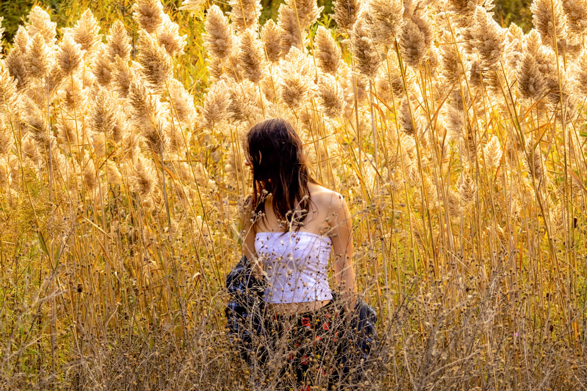 Photography (Felicity Fanco)