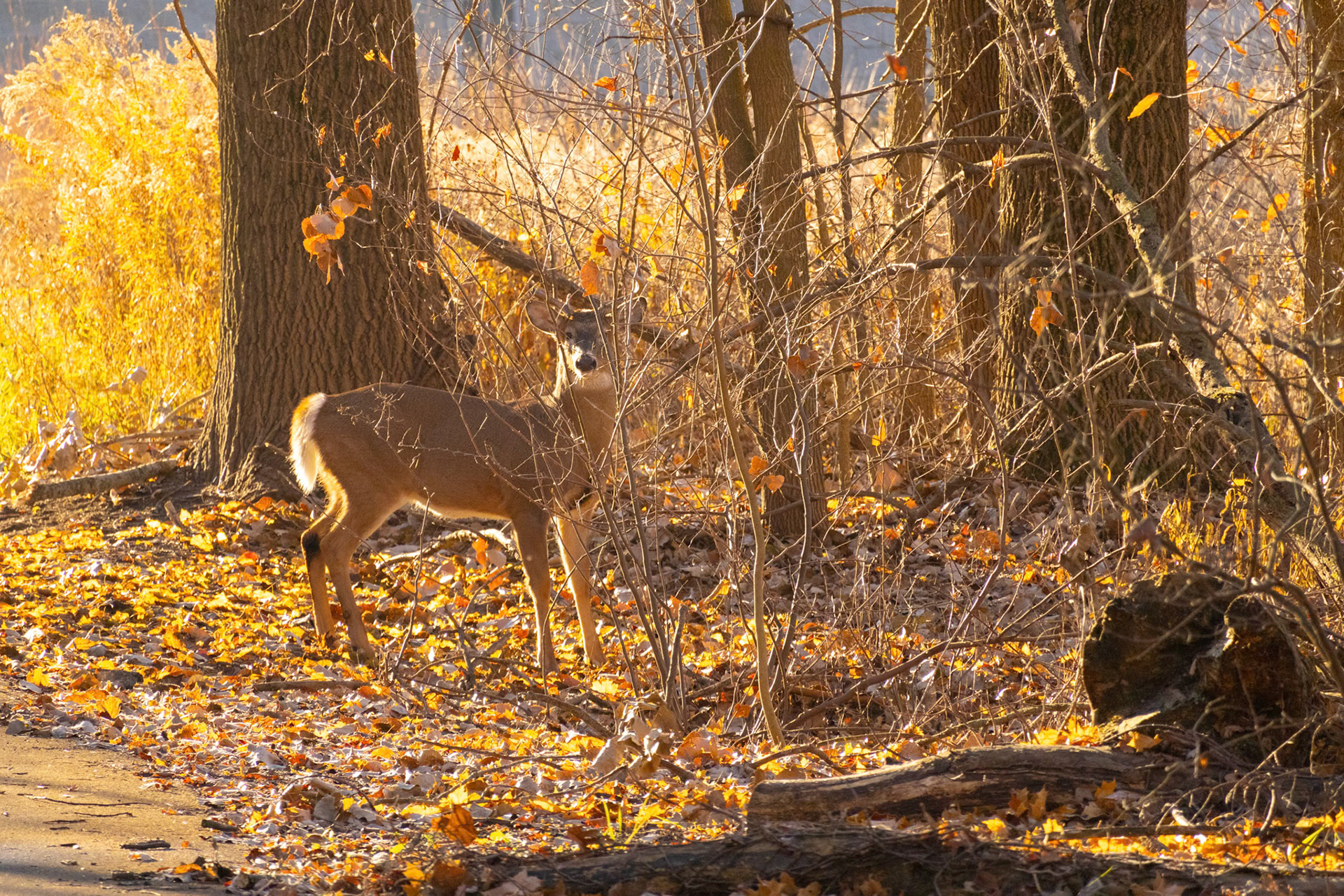 (Photo by Ashlyn Nichols)