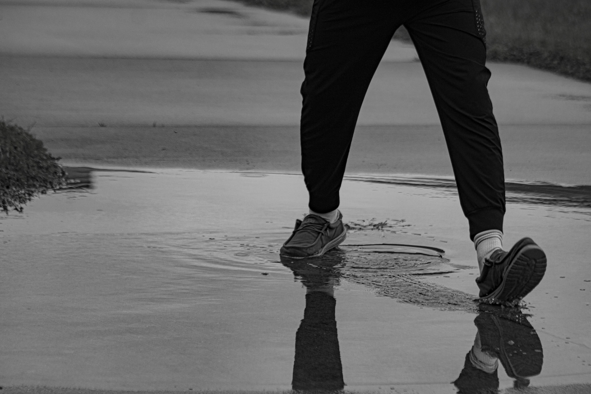 (Photo by Joe Visel)