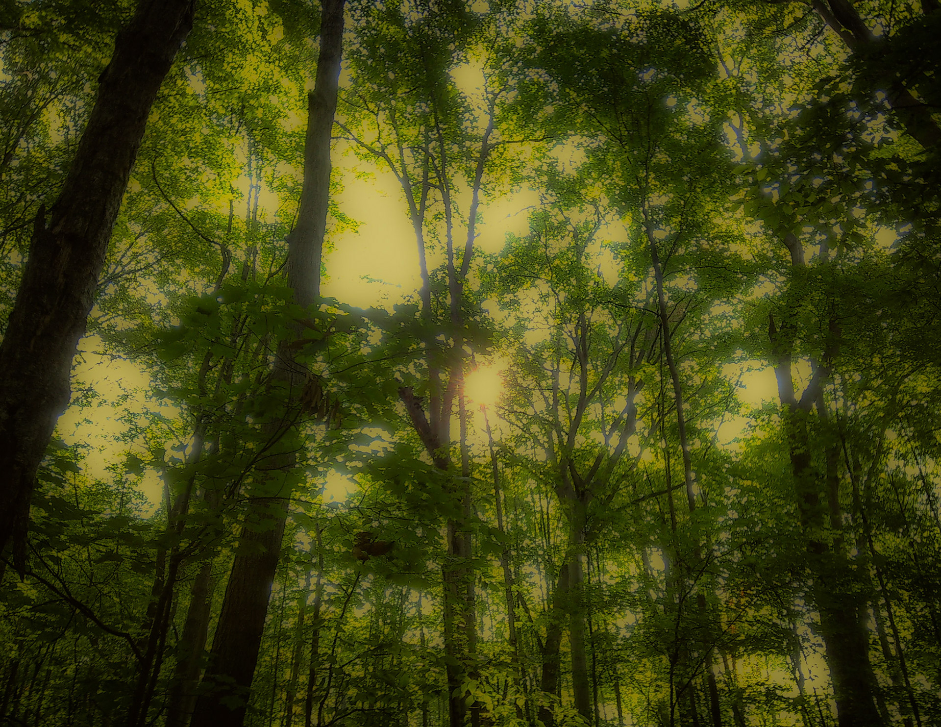 (Photo by Lena Gesing)