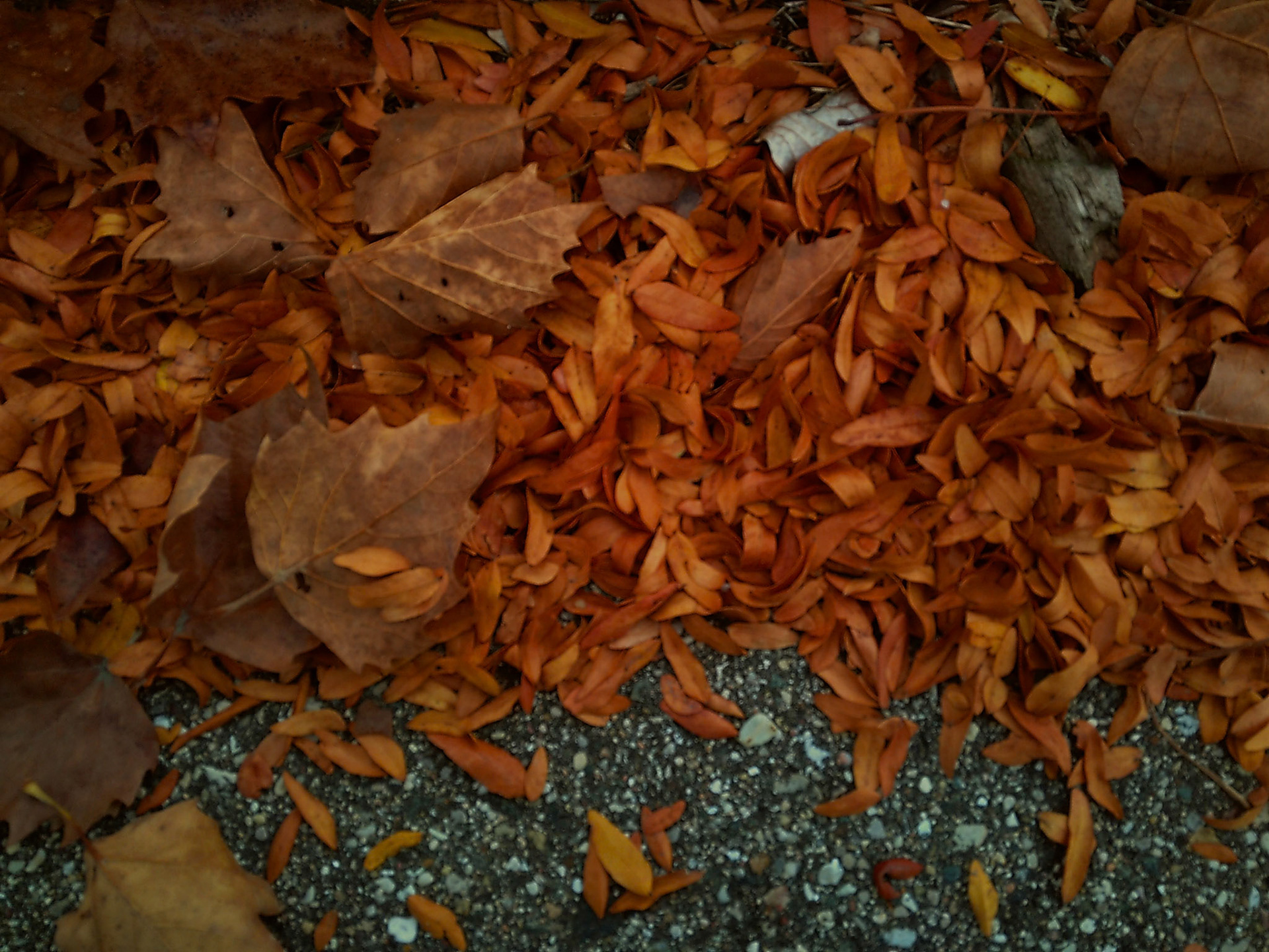 (Photo by Ayla Gerken)