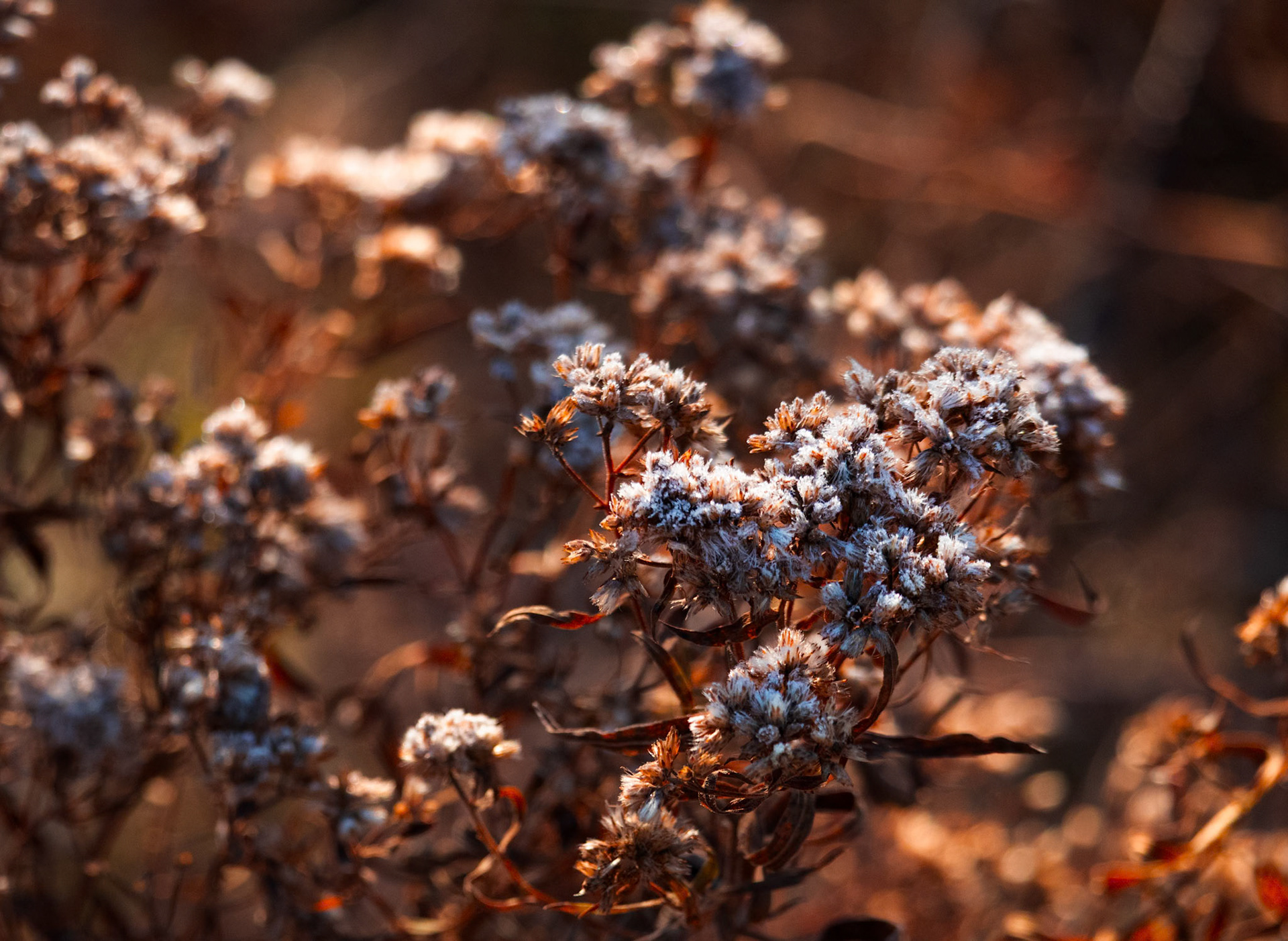 (Photo by Ayla Gerken)