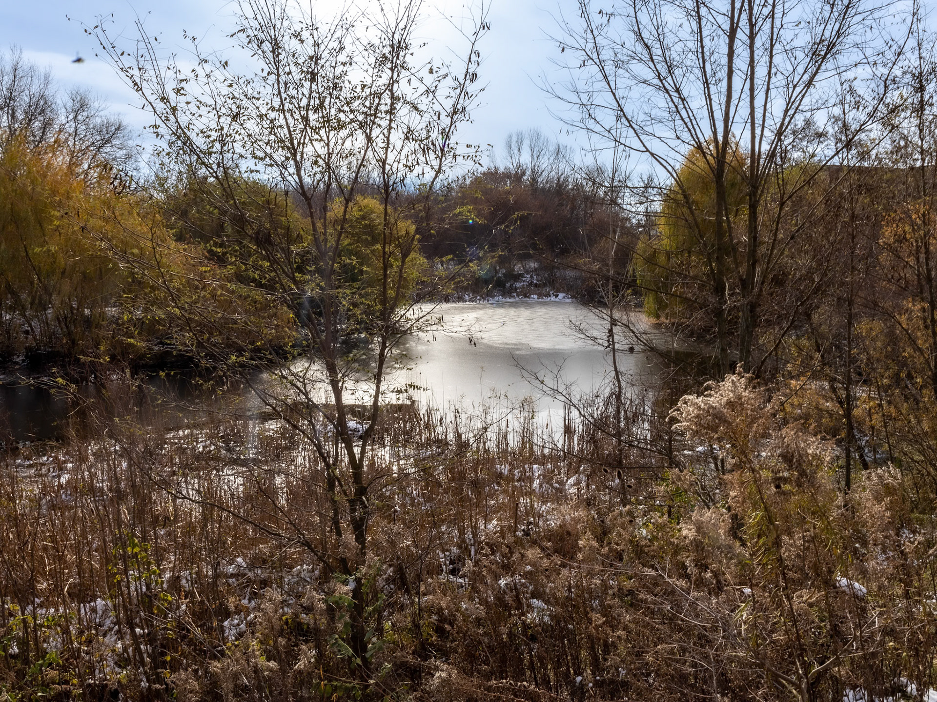 (Photo by Owen Mancuso)